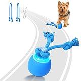 Saolife Interactive Dog Toys, Moving Dog Ball with Touch Activated, Active Rolling Ball for Puppy and Medium Dogs, Squeaky, USB Rechargeable