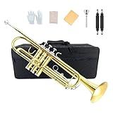 Yinfente Bb Standard Trumpet Set for Beginner or Advance Student, Brass Student Trumpet Instrument With Hard Case, 7C Mouthpiece, Cleaning Kit,White Gloves Glod