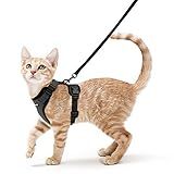 rabbitgoo Cat Harness and Leash for Walking, Escape Proof Soft Adjustable Vest Harnesses for Cats, Easy Control Breathable Reflective Strips Jacket, Black, S