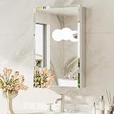 TokeShimi 14 x 24 Medicine Cabinet with Mirror, Assembly Required, Silver Recessed Bathroom Medicine Cabinet with Tempered Beveled Mirror, Stepless Adjustable Shelves, DTC Hinge