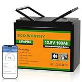 ECO-WORTHY 12V 100AH LiFePO4 Lithium Battery with Bluetooth, Max.1280Wh Energy, Low Temperature Protection, Group 24, Built-in 100A BMS, Perfect for Trolling Motor, RV, Boat, Solar Off-Grid