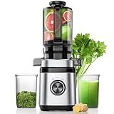 Juicer Machines, Cold Press Juicer with Wide Feed Chute, Slow Masticating Juicers for Whole Vegetables & Fruits, High Juice Yield, Easy to Clean, Large Auger, Light Silver