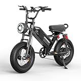 Spacewalk Small Electric Bike,16" Fat Tire Ebike,Compact Design,More Suitable for Riders Under 5'2", and Teenagers with 750W Brushless Motor, 21.7MPH with Removable 48V/15AH Battery,-Black