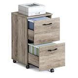 VASAGLE 2-Drawer File Cabinet, Small Rolling Filing Cabinet