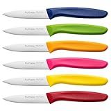 Ruffulon Paring Knife Fruit Knife Set (6 Pieces), Ultra Sharp Stainless Steel Vegetable and Fruit Knife with PP Plastic Ergonomic Handle for Cutting Fruits and Vegetables.