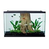 Tetra Glass Aquarium 29 Gallons, Rectangular Fish Tank