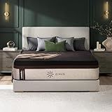 Zinus Lumbar+ Premium Memory Foam Mattress – 14 Inch, Queen, Lumbar Support, Targeted Pressure Relief, Cooling Gel & Green Tea, Fiberglass Free, Medium Firm, CertiPUR-US & OEKO-TEX Certified