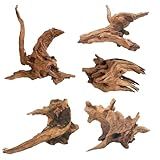 Hamiledyi 5PCS Aquarium Driftwood,3.5-7in Natural Coral Wood,Fish Tank Driftwood Assorted Branches Reptile Tank Decor Aquarium Decoration