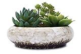 VanEnjoy 7.3 inch Round Large Shallow Succulent Ceramic Glazed Planter Pots with Drainage Hole, Bonsai Pots Garden Decorative Cactus Stand Flower Container (White)