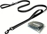 Heavy Duty Dog Leash - 2 Handles by Padded Traffic Handle for Extra Control, 6foot Long - Perfect for Medium to Large Dogs (6 ft, Black)