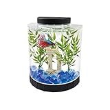 Tetra 1 Gallon Half Moon Small Fish Tank w/ Movable LED Light, For Betta & Gold Fish, Aquarium