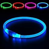 Light up Dog Collar, BSEEN USB Rechargeable Flash Dog Necklace Light, Pet Safety Collar Makes Your Beloved Dogs Be Seen at Night for Small Medium Large Dogs(Blue)