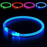 Light up Dog Collar, BSEEN USB Rechargeable Led Flash Dog Necklace