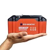 ECO-WORTHY Portable 12V Lithium Battery, 12.8V 20Ah Lithium Iron Phosphate DEEP CYCLE BATTERY, Built-in BMS, 4000+ Cycles, Perfect for Outdoor Camping Fishing RV Marine Trolling Motor Fishfinder