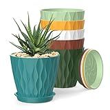 SQKH 4 Inch Plant Pots, 6 Pack Indoor Flower Pots, Planters with Drainage Holes and Trays for Orchids, Violets, Succulents, Herbs, and Other Plants,Corolful