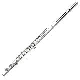 Gemeinhardt, Silver Plated (2SP)