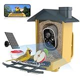 oddkont Bird Feeder with Camera - Smart Bird Feeder Camera with AI Identify Bird Species, Auto Record Bird Video, Instant Notifications, 2K Video Live Stream Camera with Solar Panel for Bird Lover