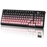 LexonElec M96 Wireless Keyboard, Low Profile Quiet Typing Membrane Gaming Keyboard with Smart Display & Knob, RGB Backlit, USB C Rechargeable, 94 Keys PBT Keycap for Windows PC, Mac, Linux-BlackBerry