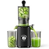 NEWBULIG Cold Press Juicer Machines, Masticating Juicer with High Juice Yield, Reverse Function, Stops Oxidation and Easy to Clean for Vegetables & Fruits, Black