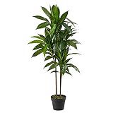 Nearly Natural 48 in Artificial Dracaena Real Touch Plant with Pot