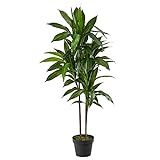 Nearly Natural 48 in Artificial Dracaena Real Touch Plant with Pot