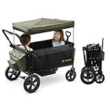 BabyVista Stroller Wagon for Kids, One-Hand Adjustable Push/Pull Handle, Spacious Storage, 8"/12" All-Terrain Wheels, Canopy with Bug Net, Wagon Stroller for Daily Walks, Short Trips & Grocery Runs