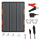 FlexSolar 20W 12V Solar Panel Battery Charger Maintainer Kits Trickle Charger with Built-in Charge Controller, Cigarette Lighter, Alligator Clips, O-Rings OBDII Connector for Car, Truck,Tractor, Boat