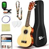 Everjoys Soprano Ukulele Beginner Kit 21 Inch w/Free Online Lesson Gig Bag Tuner Picks Strap, Fast to Learn (Rainbow String)