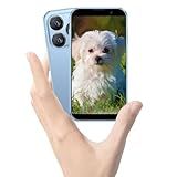 Echoamo Mini Phone for Kids Unlocked Smartphone 3.0" HD Touch Screen Mini Android Phone 2G+16G Quad Core Dual Sim Small Mobile Phones for Student Face ID Best Gift for Kids - Gray