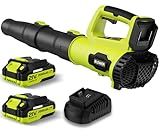 Leaf Blower, 21V Cordless Electric Blower with 2 2.0Ah Batteries and 1 Hour Fast Charger, Lightweight Leaf Blower for Patio Cleaning, Lawn Care, Blowing Fallen Leaves and Dust, etc.