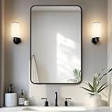 Delma Bathroom Vanity Mirror, Black Framed Mirror for Over Sink, 30x20