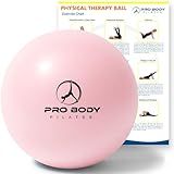 ProBody Pilates Ball, Exercise Balls Physical Therapy - 9 Inch Small Exercise Ball for Between Knees for Rehab, Barre, Core, Stability & Yoga, Physical Therapy Ball for Back Pain (Rose)