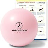 ProBody Pilates Ball Small - 9 Inch Physical Therapy Ball (Rose)