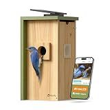 Birdfy Bird House with Camera Solar Powered with Metal Cladding for Outside