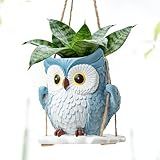 QCQHDU Swing Owl Hanging Pots with Drainage Hole, Small Resin Succulent Plant Planters, Cute Indoor/Outdoor Decor for Balcony Garden Patio, Women Gift Idea, Blue