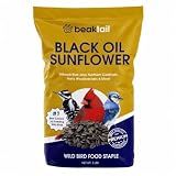 Bangerz Sunz Black Oil Sunflower Seeds for Birds 3 Pounds, Wild Bird Seed for Outside Feeders, Great for Northern Cardinals, Blue Jays and Hairy Woodpeckers, Wild Bird Food 3lbs