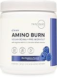 Type Zero Amino Burn - Vegan BCAA + Clean Pre Workout Powder with Arginine AKG, L-Citrulline & Beta Alanine - Amino Acid Clean Energy, Endurance & Hydration Supplement - Blue Raspberry, 30 Servings