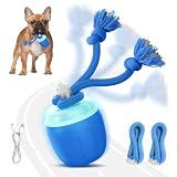 COPHCY Interactive Dog Toys, Automatic Moving and Rolling Dogs Toy with Rope for Medium/Large Dogs, Interactive Dog Ball to Keep Them Busy(Blue)