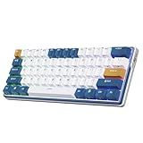 RK ROYAL KLUDGE RK61 Plus Wireless Mechanical Keyboard, 60% Percent Gaming Keyboard w/Bluetooth/2.4G/USB Wired, Hot Swappable PC Game Keyboards with USB Hub, Quiet Linear SkyCyan Switches, White