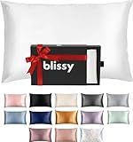 Blissy Silk Pillowcase - 100% Pure Mulberry Silk - 22 Momme 6A High-Grade Fibers - Silk Pillow Cover for Hair & Skin - Regular, Queen & King (Blissy White, Standard)