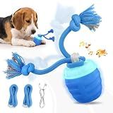 PFOXAD Interactive Dog Toys, Automatic Rolling Dogs Toy with Rope for Medium/Large Dogs, Touch Activated Moving Dog Ball for Boredom(Blue)