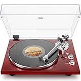 Belt Drive Turntable for Vinyl Record Player,Connect with Bluetooth Speakers or Active Speaker,Built-in Phono Pre-amp,USB Digital Output, Magnetic Cartridge,High-Gloss Wood Design(Red)