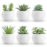 Der Rose Set of 6 Succulents Plants Artificial in Pots Small Fake Plants for Bedroom Aesthetic Living Room Shelf Bathroom Decor Office Desk Accessories