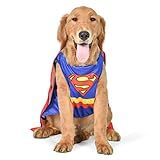 DC Comics Superhero Superman Halloween Dog Costume - Medium - | DC Superhero Halloween Costumes for Dogs, Funny Dog Costumes | Officially Licensed DC Dog Halloween Costume Blue