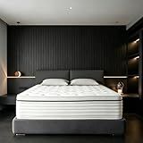 Fubon Queen Mattress 12 Inch, Luxury Hotel Hybrid Mattress in a Box, Memory Foam and 7-Zones Individual Pocket Springs, Medium Plush Feel, Fiberglass Free -365-Night Trial