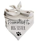 Dog Bandanas Baby Announcement Pregnancy Announcement Promoted to Big Sister Oatmeal Beige Minimal (Large)