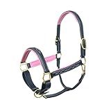SIE Padded Leather Horse Halter with Brass Hardware and Raised Fancy Stitching (Black with Pink Padding, Cob)