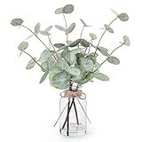 Bessol Artificial Eucalyptus Stems in Glass Vase with Faux Water, 13.5" Fake Plants for Home Decor, Coffee Table Centerpieces, Office, Bathroom & Farmhouse Weddings - Faux Greenery Plants Decorations