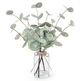 Bessol Artificial Eucalyptus Stems in Glass Vase with Faux Water, 13.5" Fake Plants for Home Decor, Coffee Table Centerpieces, Office, Bathroom & Farmhouse - Green Faux Plants Decorations
