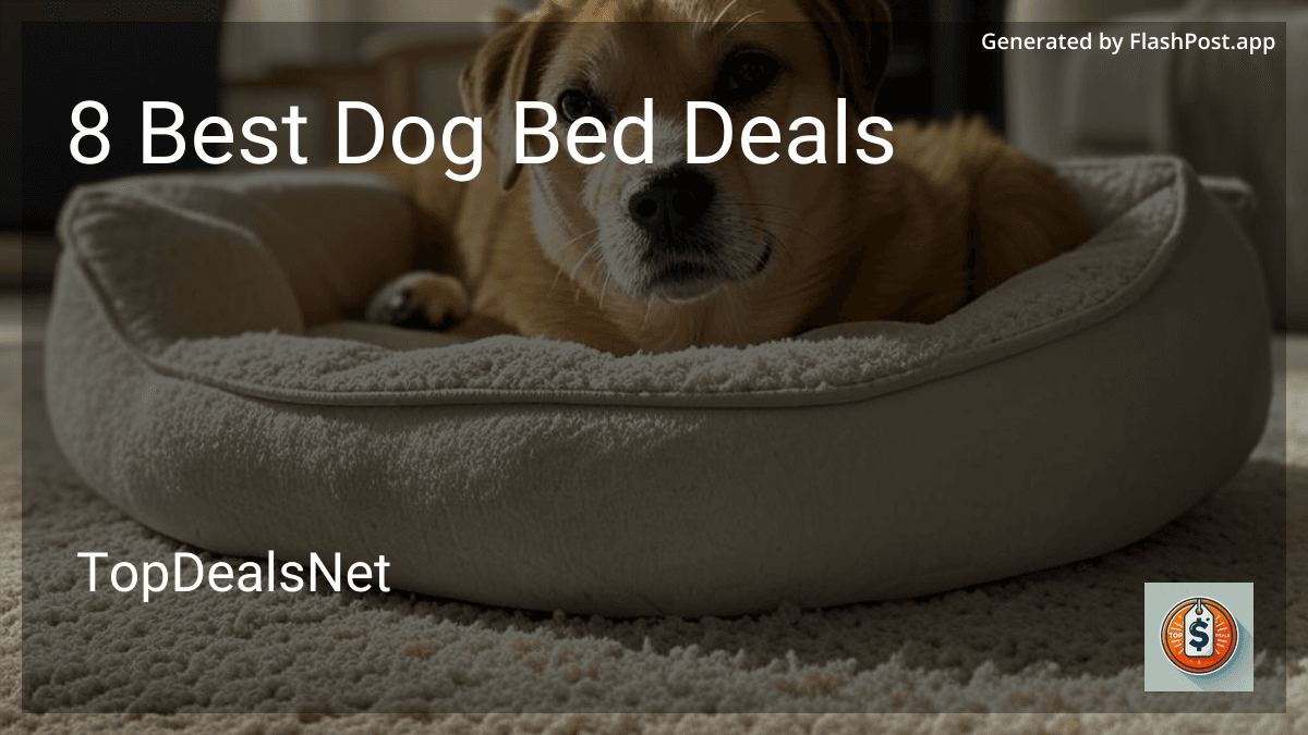 8 Best Dog Bed Deals in 2025 preview